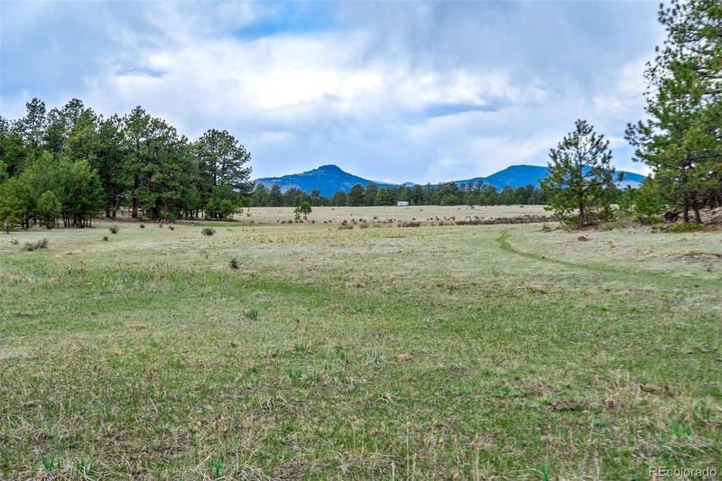 Tract 103 Doe Valley Rd, Guffey, CO 80820