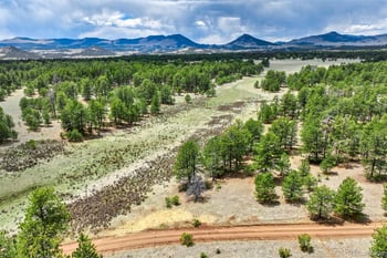Tract 103 Doe Valley Rd, Guffey, CO 80820