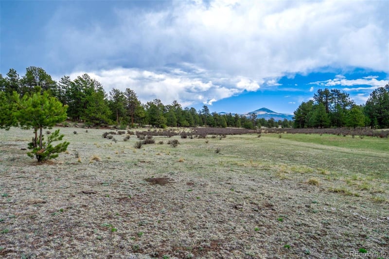 Tract 103 Doe Valley Rd, Guffey, CO 80820