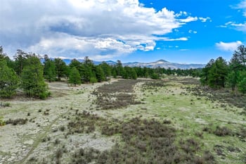 Tract 103 Doe Valley Rd, Guffey, CO 80820