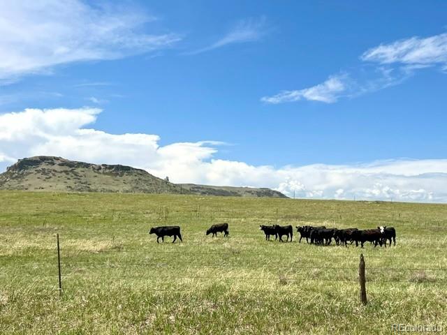 11977 Haskell Creek Rd, Larkspur, CO 80118