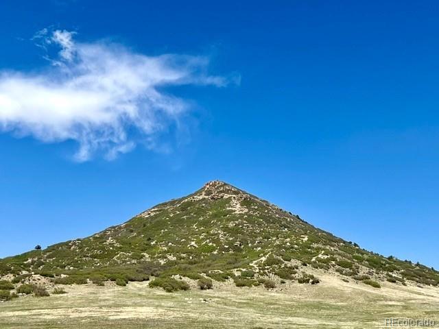 11977 Haskell Creek Rd, Larkspur, CO 80118
