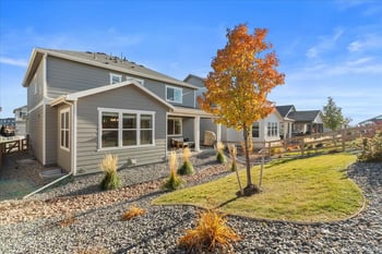 946 Rustling Dr, Windsor, CO 80550