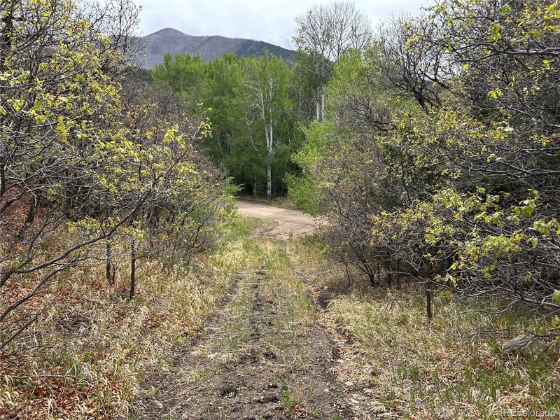 000 Pass Creek Rd, Gardner, CO 81040
