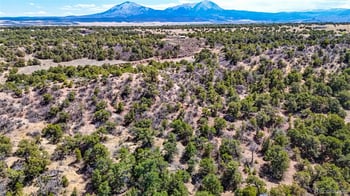 Lot 79 Navajo Ranch Resorts, Walsenburg, CO 81089