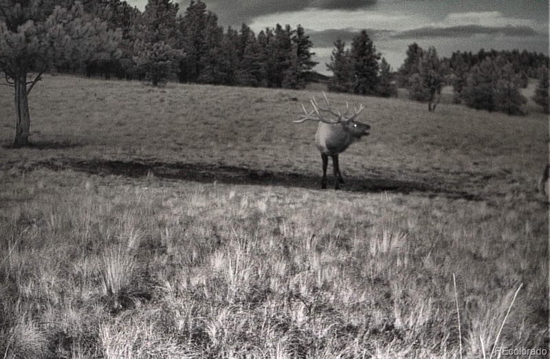 10801 County Road M 32, Del Norte, CO 81132