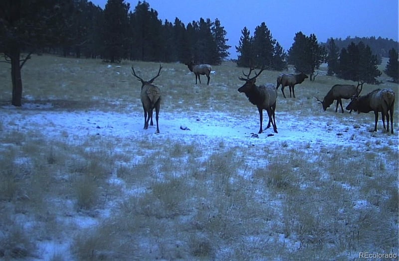 10801 County Road M 32, Del Norte, CO 81132