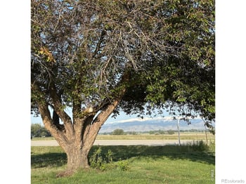 8502 107th St, Longmont, CO 80504