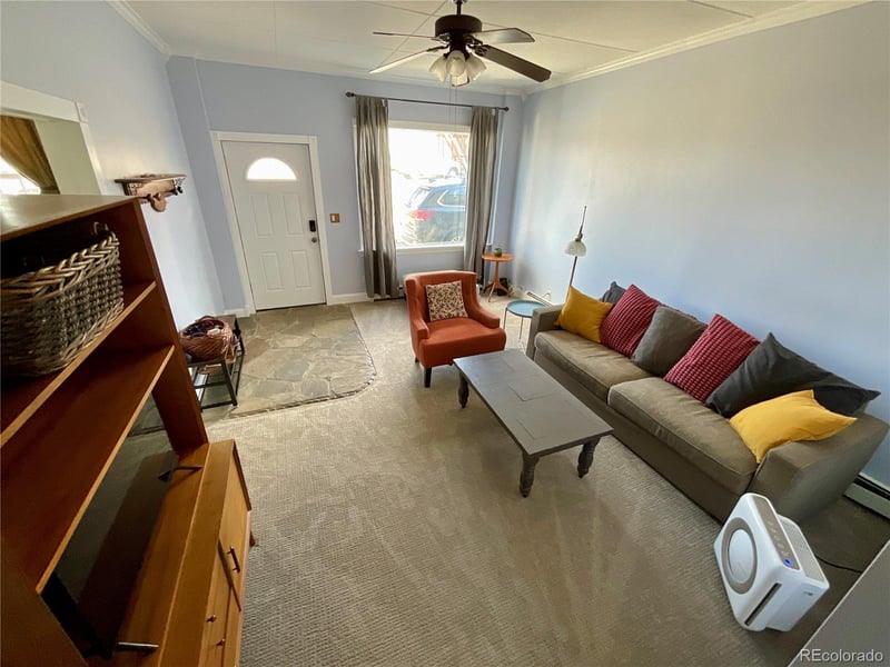 135 Chestnut St, Leadville, CO 80461