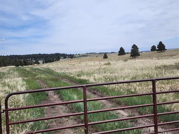 13753 Hawkeye Rd, Kiowa, CO 80117