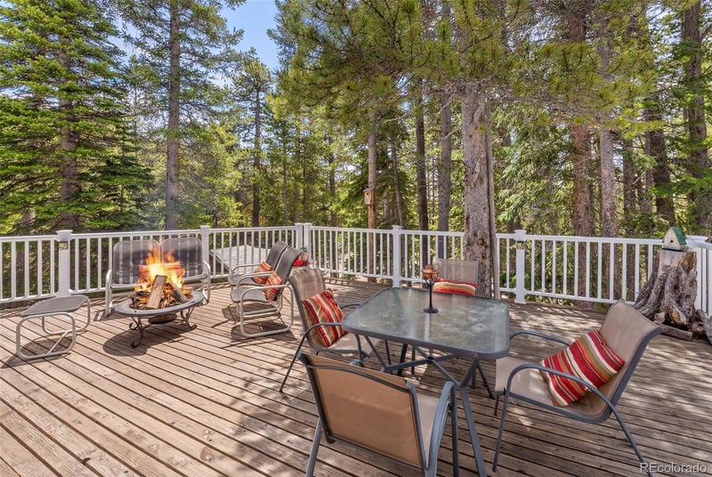 218 Brook Dr, Idaho Springs, CO 80452