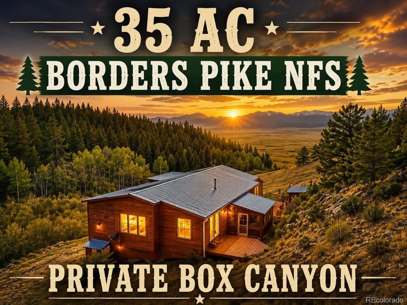 1819 Snyder Creek Rd, Jefferson, CO 80456