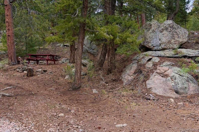 25845 Wilkerson Rd, Conifer, CO 80433