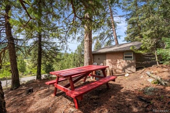 25845 Wilkerson Rd, Conifer, CO 80433