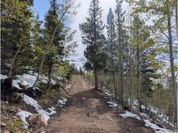 540 Elkridge Rd, Red Feather Lakes, CO 80545
