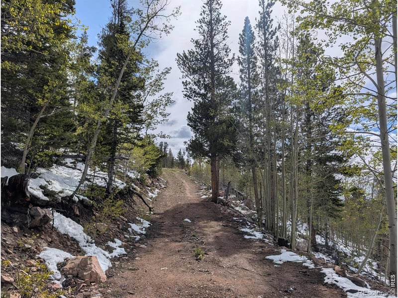540 Elkridge Rd, Red Feather Lakes, CO 80545