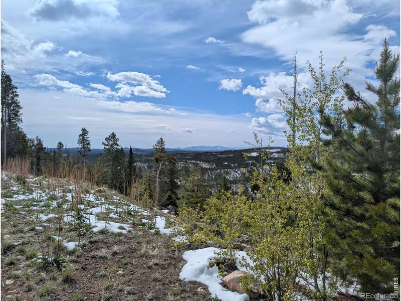 540 Elkridge Rd, Red Feather Lakes, CO 80545