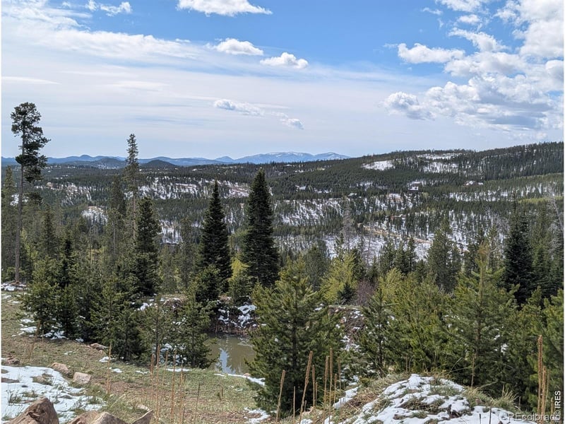 540 Elkridge Rd, Red Feather Lakes, CO 80545
