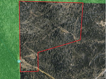 540 Elkridge Rd, Red Feather Lakes, CO 80545