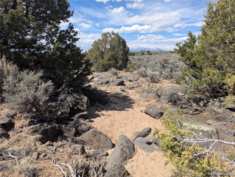 Lot 2-3 Mesitas Rd Lot 2,3, San Luis, CO 81152