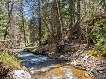 Fisherman Ln, Glen Haven, CO 80532