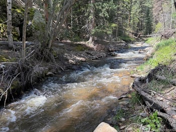 Fisherman Ln, Glen Haven, CO 80532