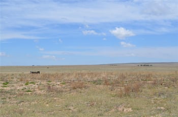 26430 Tebow Vw, Calhan, CO 80808