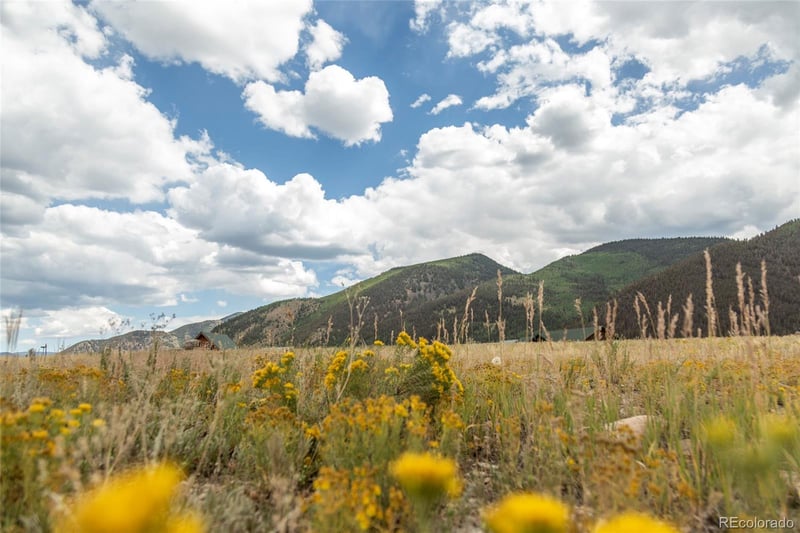 207 Sunset Ct, Creede, CO 81130