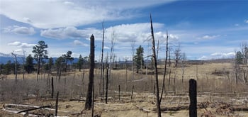 Lot 1209 Emery Loop, Fort Garland, CO 81133