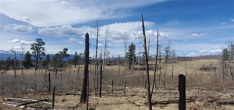 Lot 1209 Emery Loop, Fort Garland, CO 81133