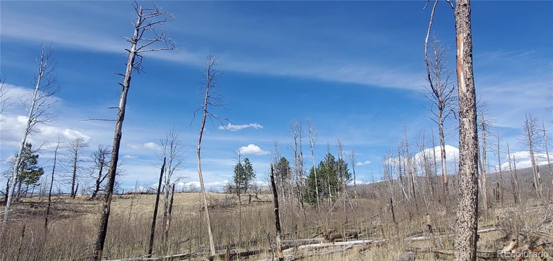 Lot 1209 Emery Loop, Fort Garland, CO 81133