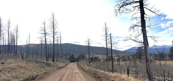 Lot 1209 Emery Loop, Fort Garland, CO 81133