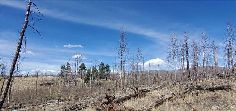 Lot 1209 Emery Loop, Fort Garland, CO 81133