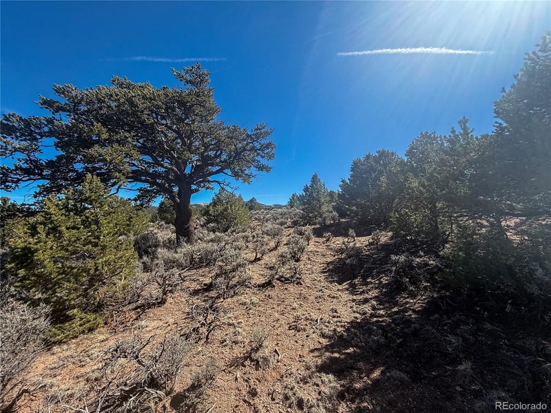 00 Tiernan Rd, Fort Garland, CO 81133