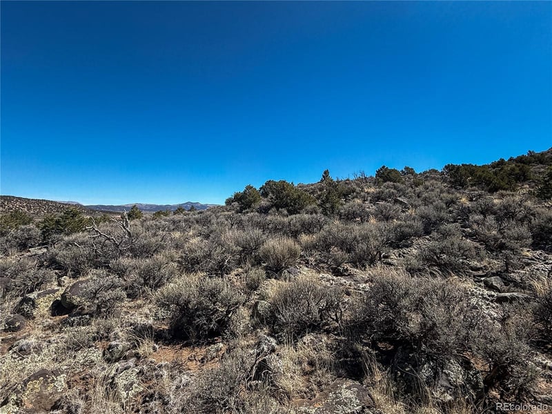 LOT 2517 Paine Rd N, Fort Garland, CO 81133