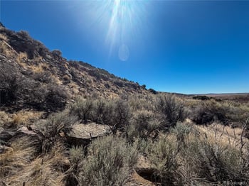 LOT 2517 Paine Rd N, Fort Garland, CO 81133