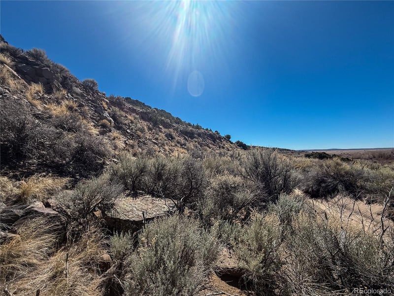 LOT 2517 Paine Rd N, Fort Garland, CO 81133