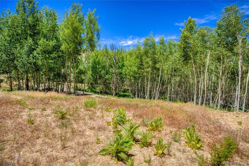 302 Rickel Cir Lot 24, South Fork, CO 81154