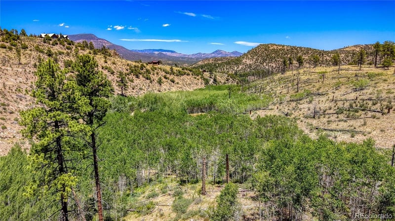 302 Rickel Cir Lot 24, South Fork, CO 81154