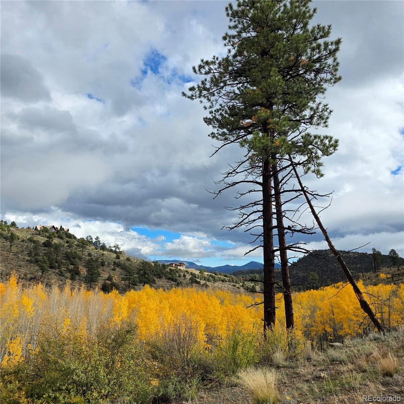 302 Rickel Cir Lot 24, South Fork, CO 81154