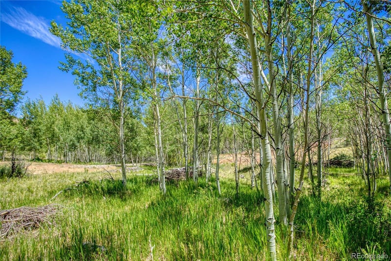 302 Rickel Cir Lot 24, South Fork, CO 81154