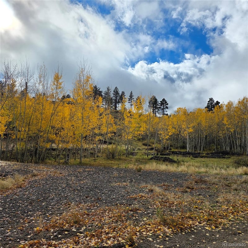 302 Rickel Cir Lot 24, South Fork, CO 81154