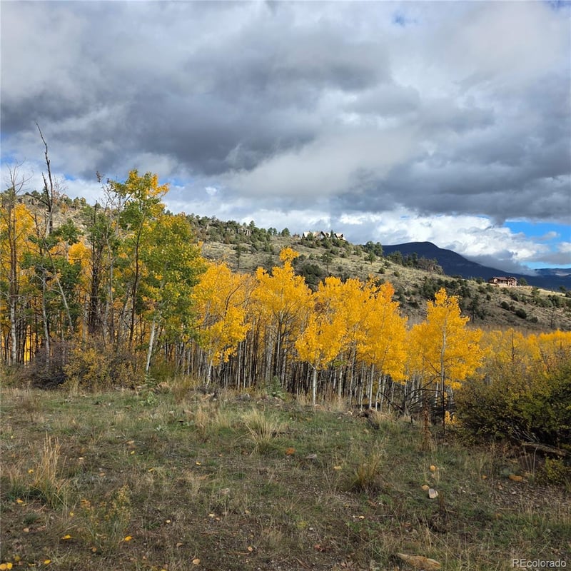 302 Rickel Cir Lot 24, South Fork, CO 81154