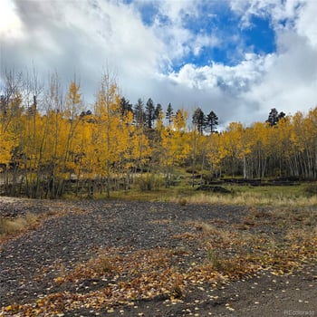 302 Rickel Cir, South Fork, CO 81154