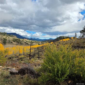 302 Rickel Cir, South Fork, CO 81154