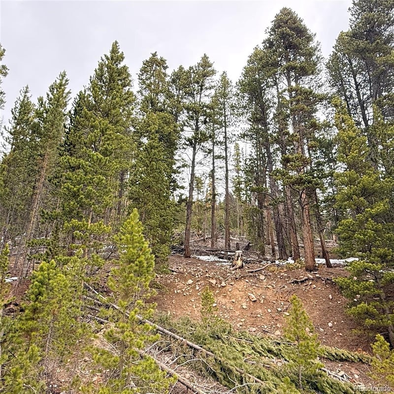LOT 406 Glory Hole Rd, Idaho Springs, CO 80452
