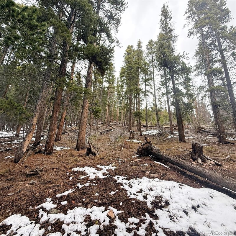 LOT 406 Glory Hole Rd, Idaho Springs, CO 80452