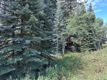6897 High Dr, Morrison, CO 80465