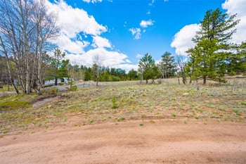 121 Bridle Ln, Florissant, CO 80816