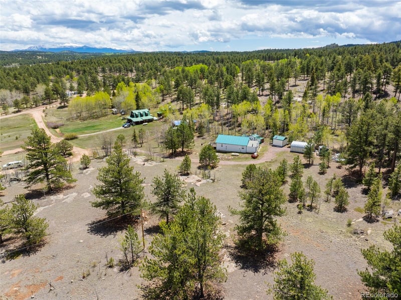 121 Bridle Ln, Florissant, CO 80816